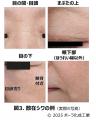 シワができると認識されていない部位のシワに着目「散