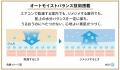 紫外線から守り、未来のシミまで防ぐ※1 アネッサから 紫外線から守り、未来のシミまで防ぐ※1 アネッサから