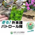 「東京いきもの台帳」植物の標本情報を公表！