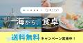 水産庁「復興加工EC販路マッチング支援」において食べ 水産庁「復興加工EC販路マッチング支援」において食べ
