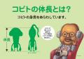 【25年12月20日(土)OPEN】「こびとづかん」体験型POP 
