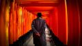 【ＢＳ日テレ】伏見稲荷大社×天野喜孝　千年の巨大襖