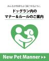 お正月も利用可能に！ドッグラン開放で叶える、わんち