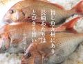 「お魚離れ」を救う！累計600万食突破の冷凍パスタが