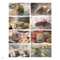 カピバラ愛がみっちり詰まった、カピバラ写真集の決定