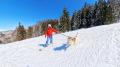 みなかみで愛犬と滑る　ほうだいぎスキー場ドッグフィ