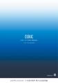 ２０２５年１２月２８日で創業80周年を迎え本日付 日