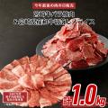 【年末売り尽くし！今年最後の肉の日特別販売（12/29