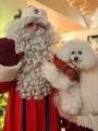 【本物のサンタクロース♪イベントレポート】_ with D 【本物のサンタクロース♪イベントレポート】_ with D
