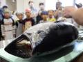現役高校生が起業！マグロ解体体験でふるさと納税へ初