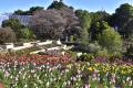 伊豆・城ケ崎海岸のフラワーガーデンに春の足音が！ニ