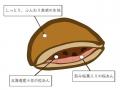 【季節限定】春を先取りした二層仕立てのどら焼き　北