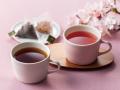 ルピシアの春 2026「桜のお茶」シリーズ　満開の桜が