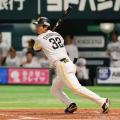＜エスエスケイ＞福岡ソフトバンクホークス／柳町達選