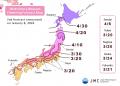 2026年第2回桜開花・満開予想を発表 AI予測を導入し 2026年第2回桜開花・満開予想を発表 AI予測を導入し