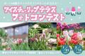冬に目覚めた早起きな約3,000株のチューリップたちに