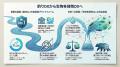 【株式会社フィッシュパス 年頭所感】提携漁協数No.1 【株式会社フィッシュパス 年頭所感】提携漁協数No.1