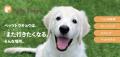 【Web3 × リアル産業】LOOTaDOGは、Pets Tokyo株式会