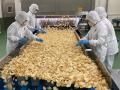 【スナック菓子の進化を担う、大型基幹工場が日本の真