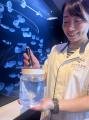 【すみだ水族館】クラゲとともに自分時間をゆっutf-8