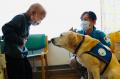 医療専門職のための動物介在療法シンポジウムにて犬の