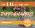 愛犬と楽しむイベント「わんワンダーフェス」にM&N’s 