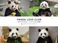 PANDA LOVE CLUB「永明とともにつながるパンダファミ