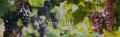 GI Yamanashi認証取得ワイン「GI山梨 ロゼ 2025」数量