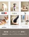 【Alice's Dog & Cat】オンラインで10年、愛犬家達に