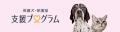 保護犬・保護猫とともに描く新しい未来を考える1か月 