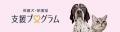 保護犬・保護猫とともに描く新しい未来を考える1カ月 