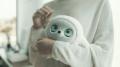 育てるほど、あなたを理解！進化系AIロボット「lopeto