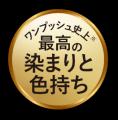 ～史上最高※の染まりと色持ち～「メンズビゲンワンプ