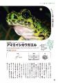 カエルをこよなく愛する東大生・さこの君の目を通して