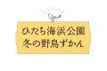 冬の野鳥観察会を開催します（国営ひたち海浜公園）