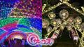 遊園地×新感覚フラワーパーク×イルミネーション×コス