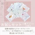TEA NAVIGATIONより「紅茶 お試しセット 10種アソート