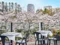東京ミッドタウンで春を満喫 都心で楽しむ桜並utf-8 東京ミッドタウンで春を満喫 都心で楽しむ桜並utf-8