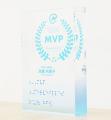 MONEYDOCTOR 2025日本ゴールボール選手権大会MVP選手