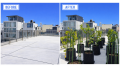 都市の屋上でワインを育てる。世田谷・川崎で2026年度