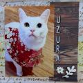 ２月２２日は猫の日、「ネコづくしの展覧会 Presented