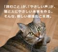 「ねこと絵本プロジェクト」―保護ねこ支援の、新しい 「ねこと絵本プロジェクト」―保護ねこ支援の、新しい