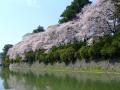 【静岡県内初進出】賃貸住宅「Avance（アヴァンセ）」