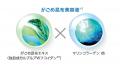 2026年3月5日、退色抑制オールインワンシャンプー誕生