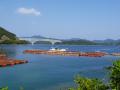 2月15日、イオン大村店に長崎県の推し魚第一号「新上