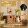 昨年末に即完売した猫型しめ縄『しめニャわ』がutf-8