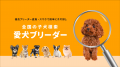 バレンタイン直前！愛犬に贈りたいギフトランキング発