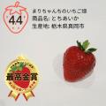 ≪第4回全国いちご選手権≫野菜ソムリエが選んだ、おい ≪第4回全国いちご選手権≫野菜ソムリエが選んだ、おい