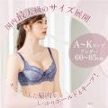 累計10万枚突破「脇高ブラpremium」発売10周年！感謝