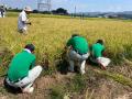 長岡農業高校生が手がける「〇結（えんむすび）」